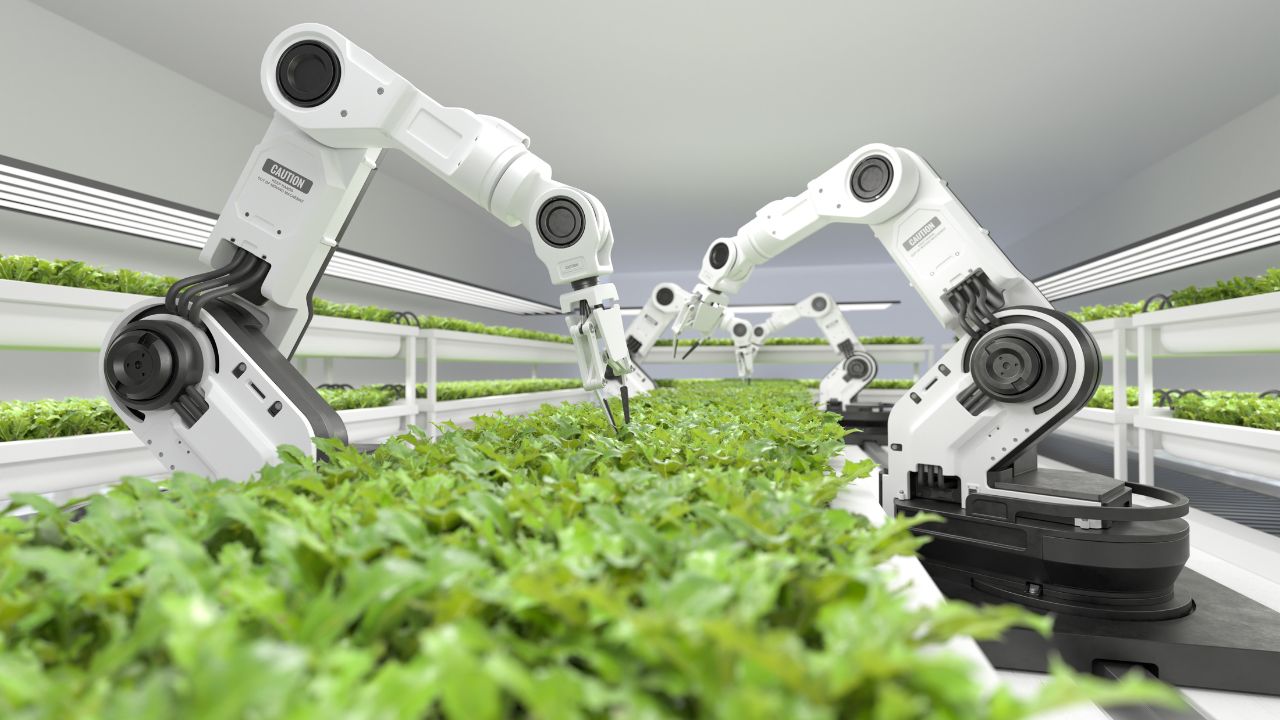If Farming Keeps Getting Smarter, Why Does Food Keep Getting Dearer?