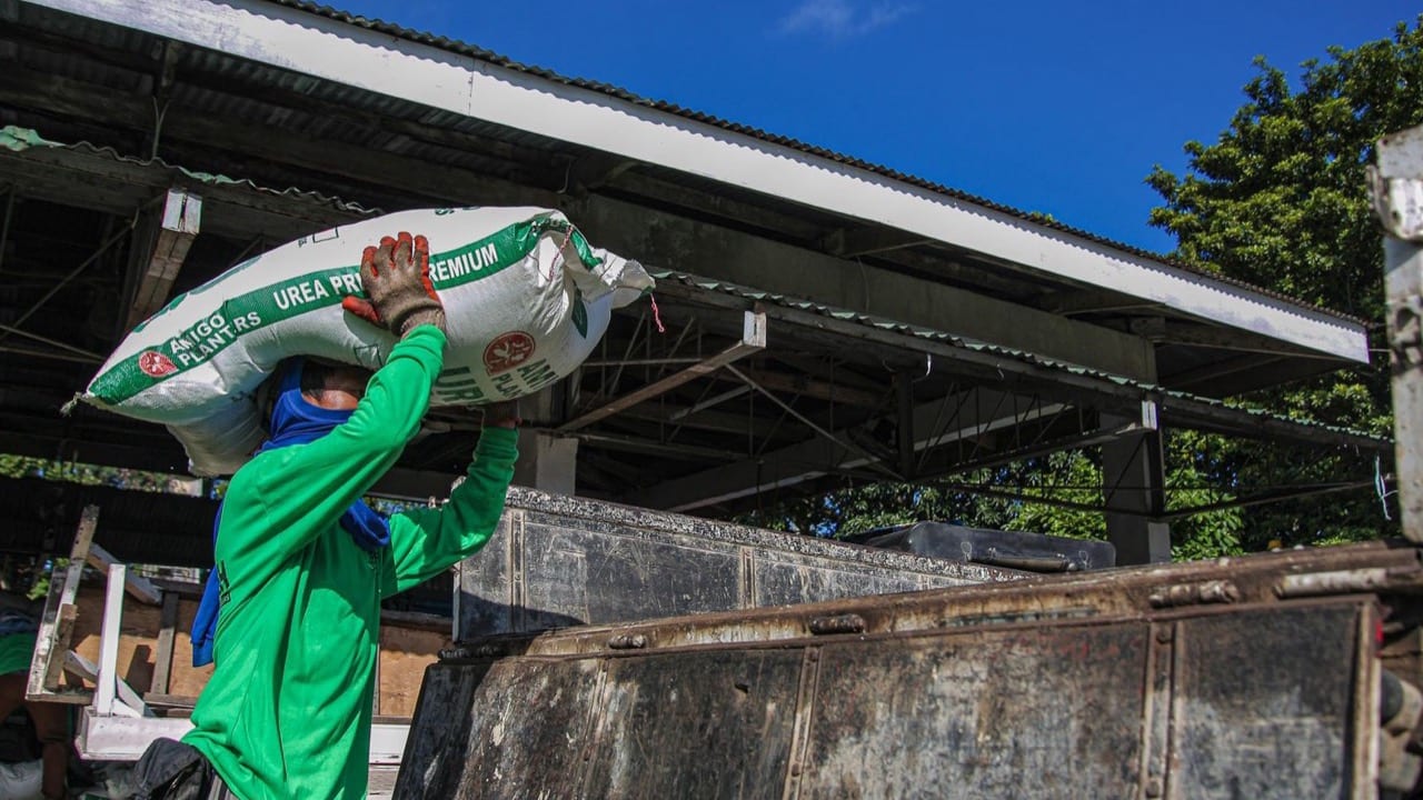 India's Urea Import Tender Clears at $390/Tonne, Undercutting Pre-Iran War Prices