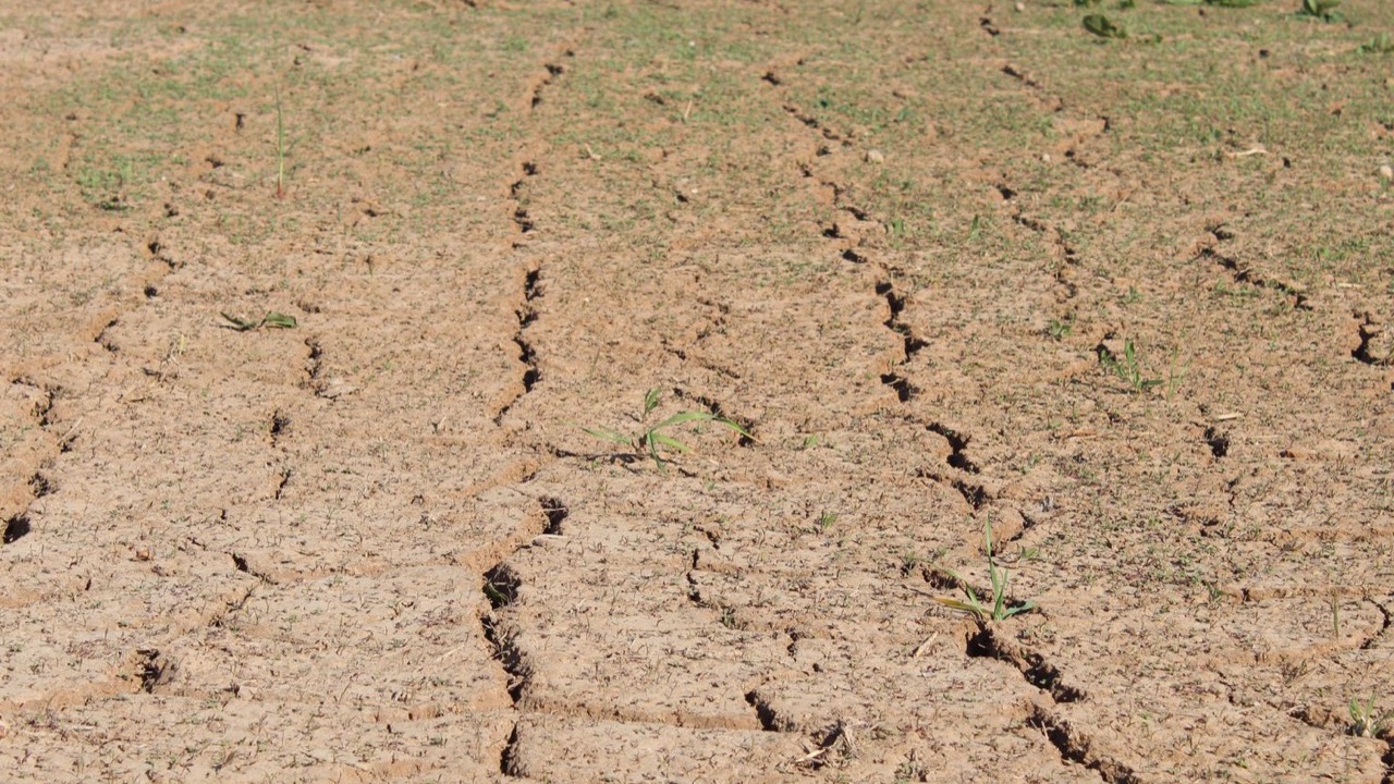 Rajasthan Tightens PMFBY Crop Insurance: Verification Mandatory Before Policy Approval from Kharif 2026